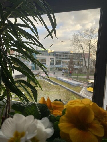 Гостиница Hotel Br& xFC; ckentor в Ринтельне
