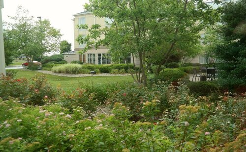 Гостиница Hilton Garden Inn Louisville East в Луисвилле