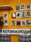 Фотография из отзыва о кафе Первое котокафе Москвы