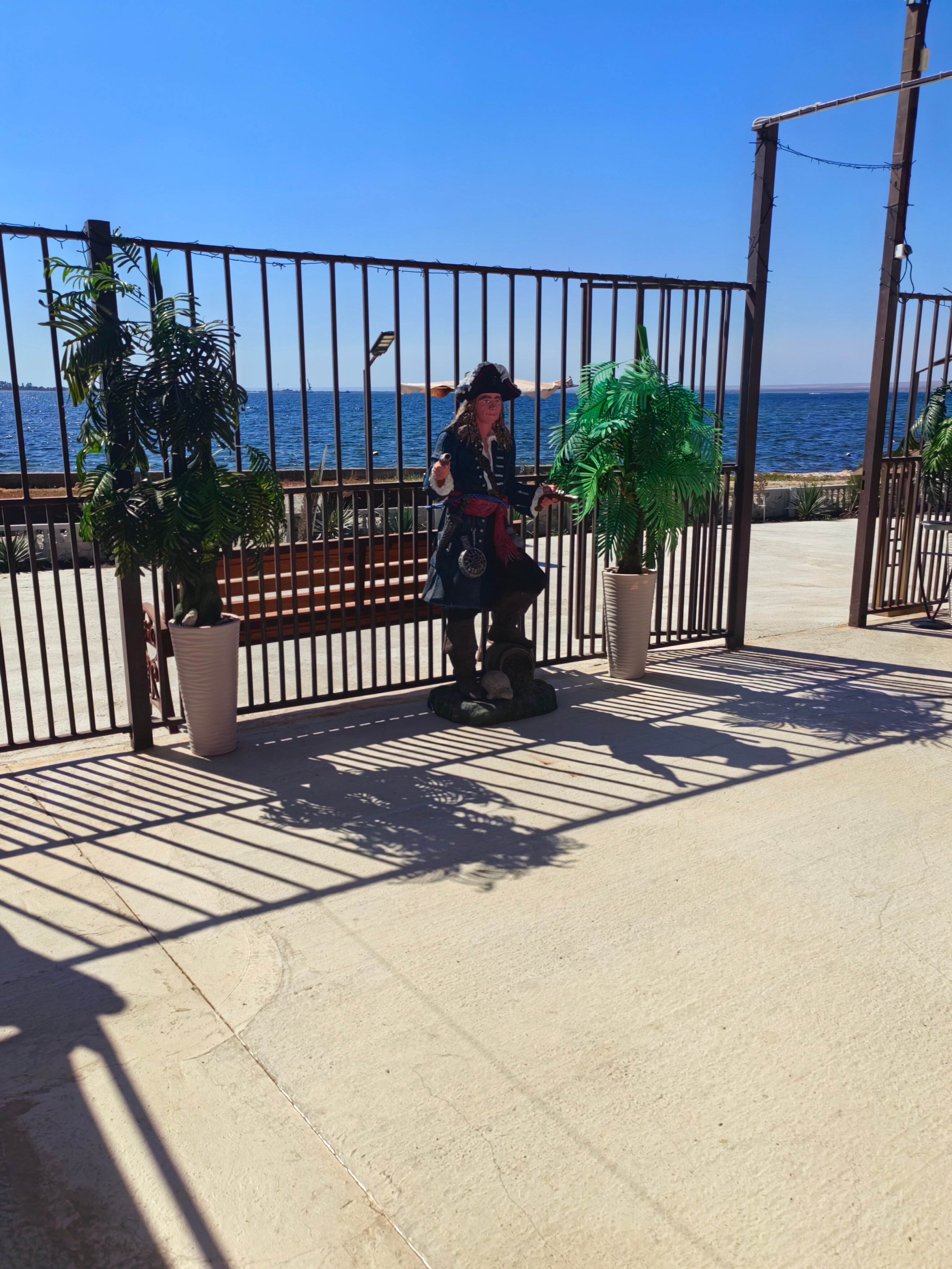 Фото Тортуга