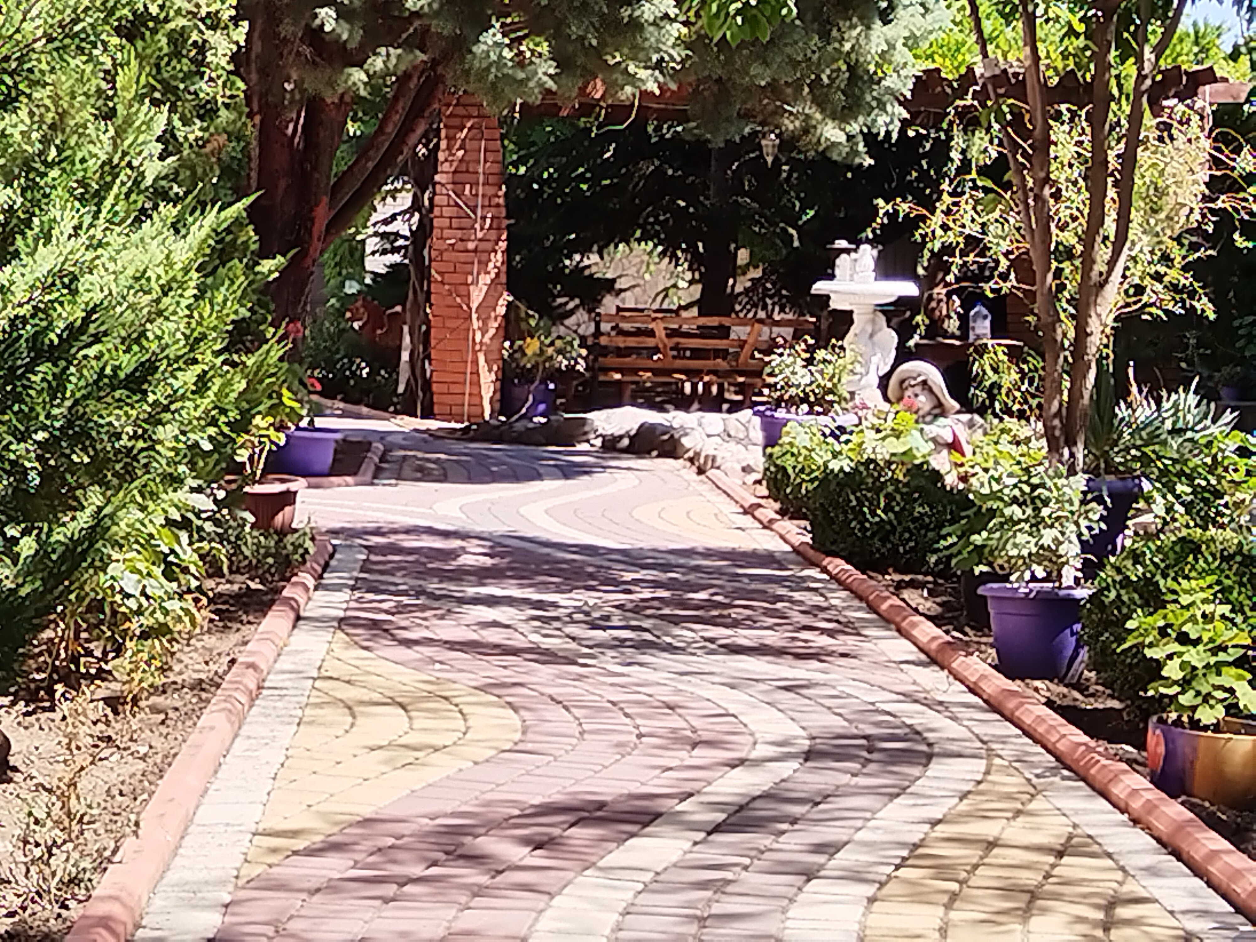 Фото Mango Hotel