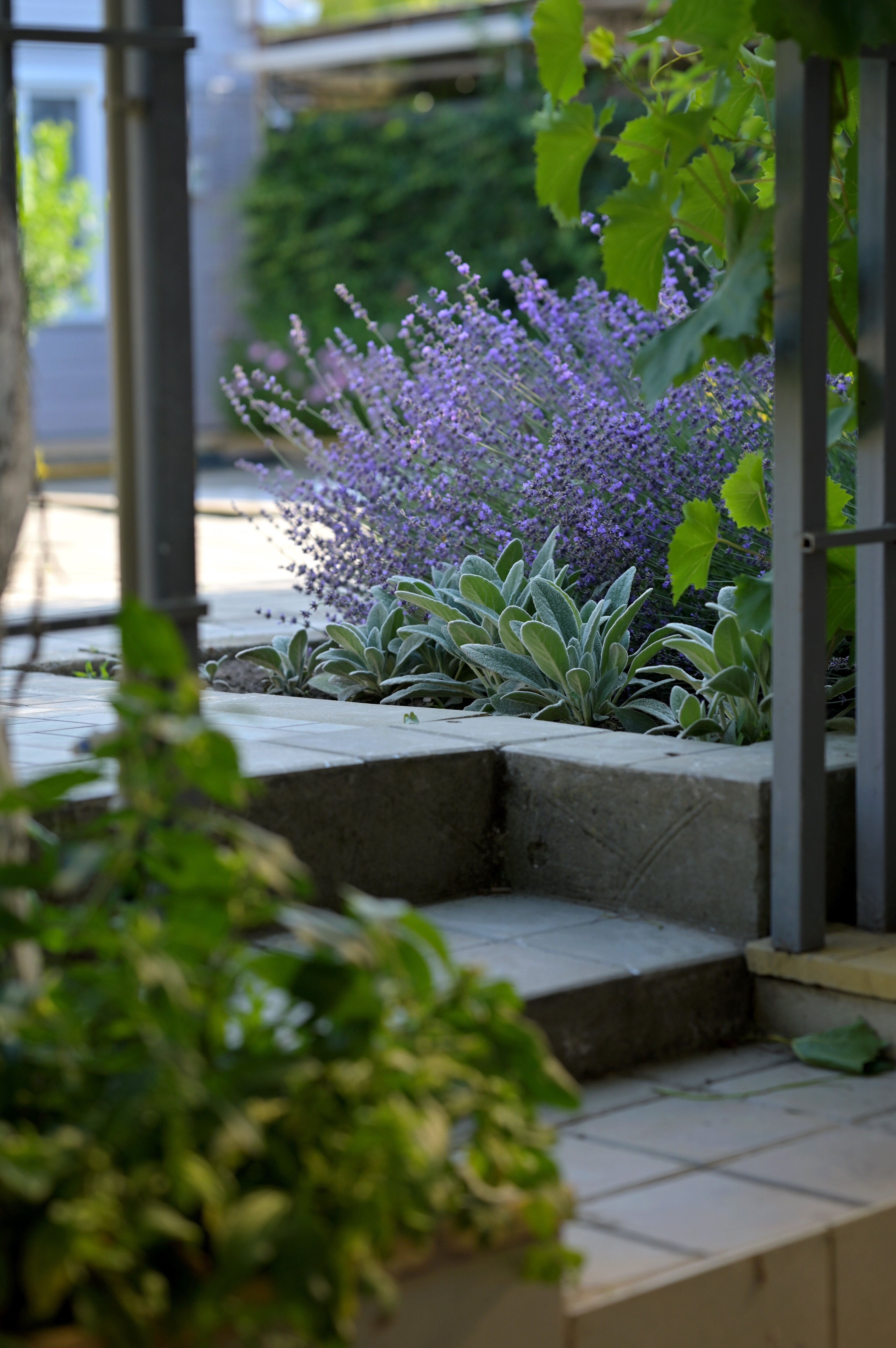 Фото Морское Небо