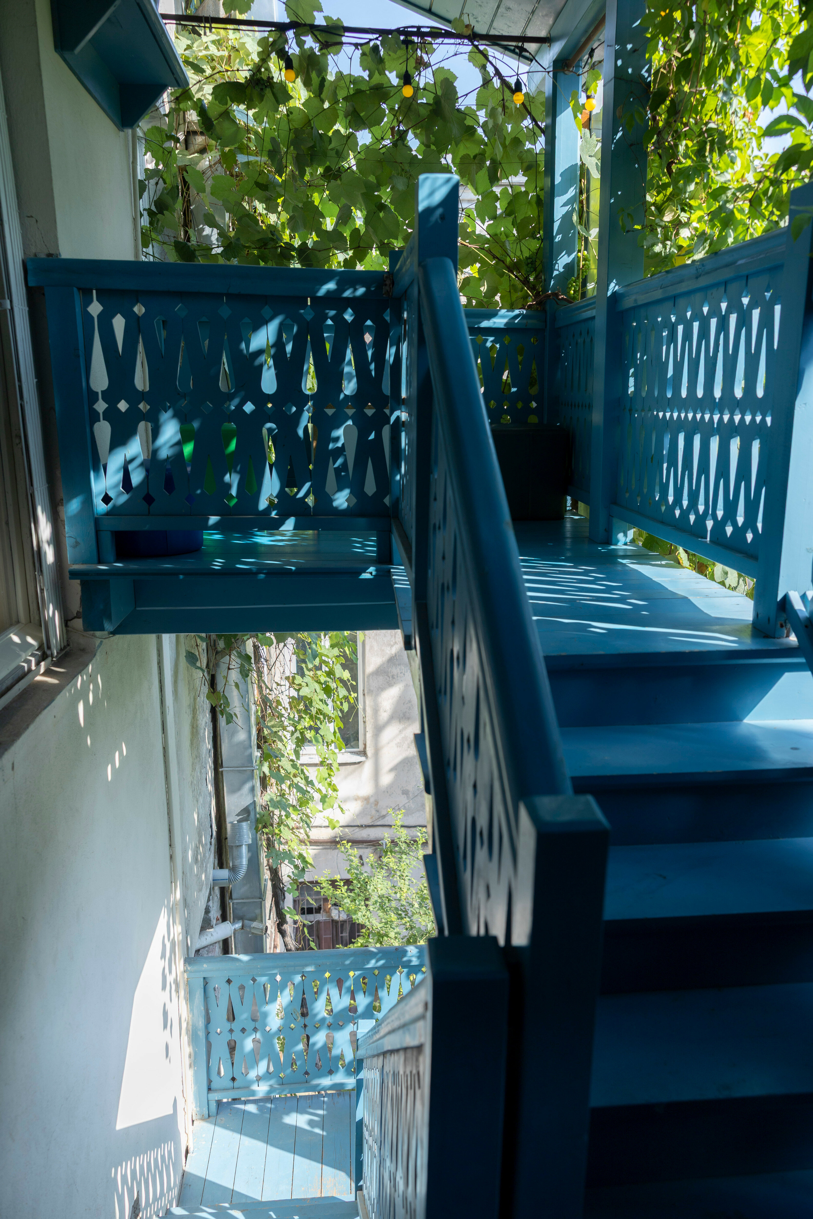 Фото 119344710602