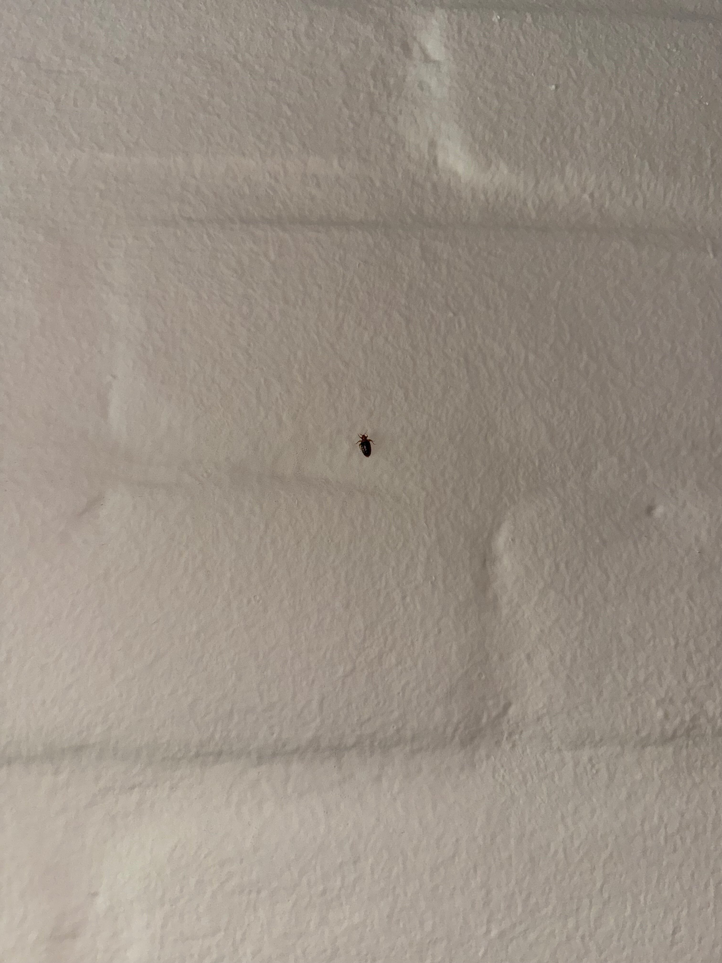 Фото Hotel Samir