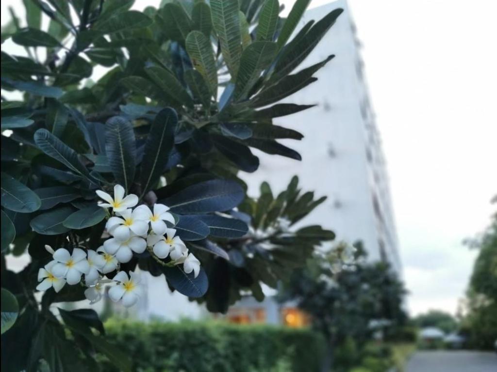 Фото The Park Hotel Pattaya