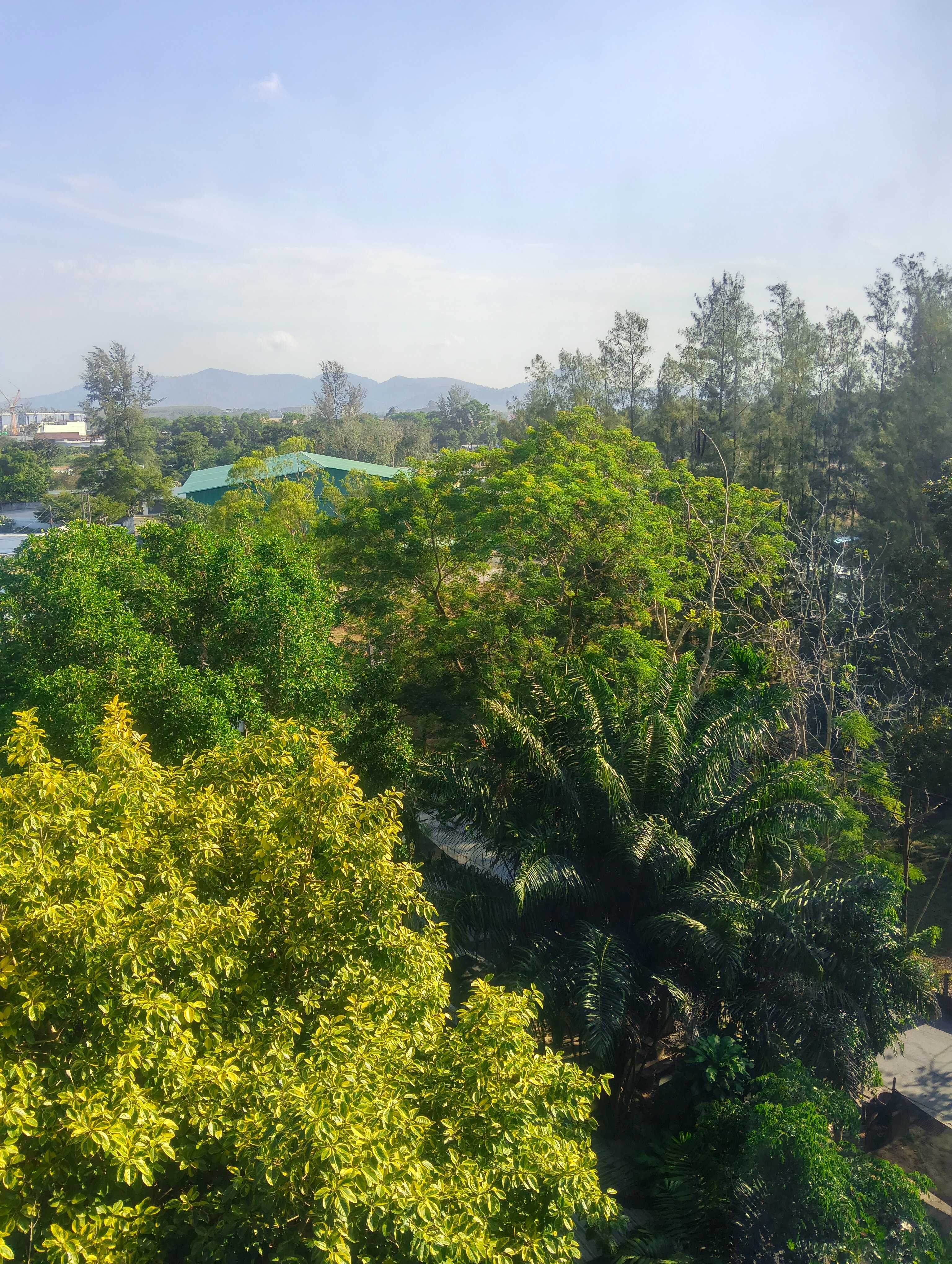 Фото Hill Myna Condotel