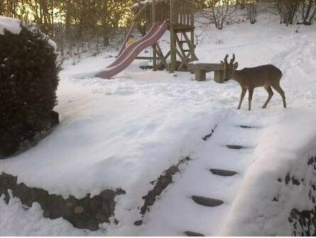 Гостиница Hotel-Restaurant 't Streefkerkse Huis в Заутеланде