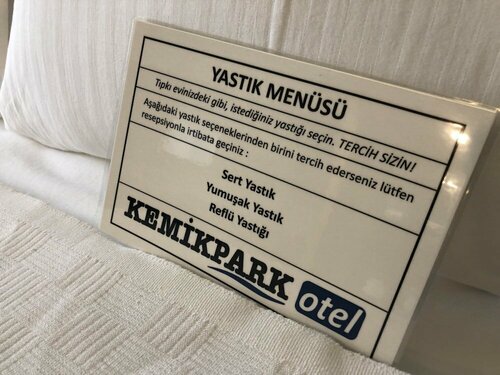 Гостиница KemikPark Otel в Бартыне