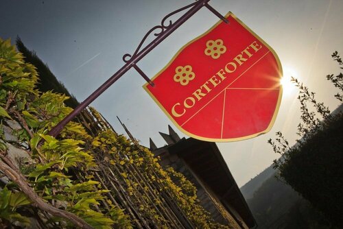 Гостиница Agriturismo Corteforte в Кастельротто