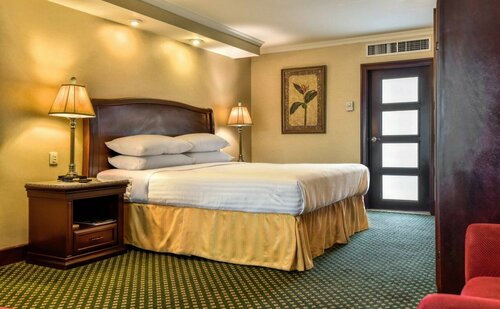 Гостиница Marriott Torreon