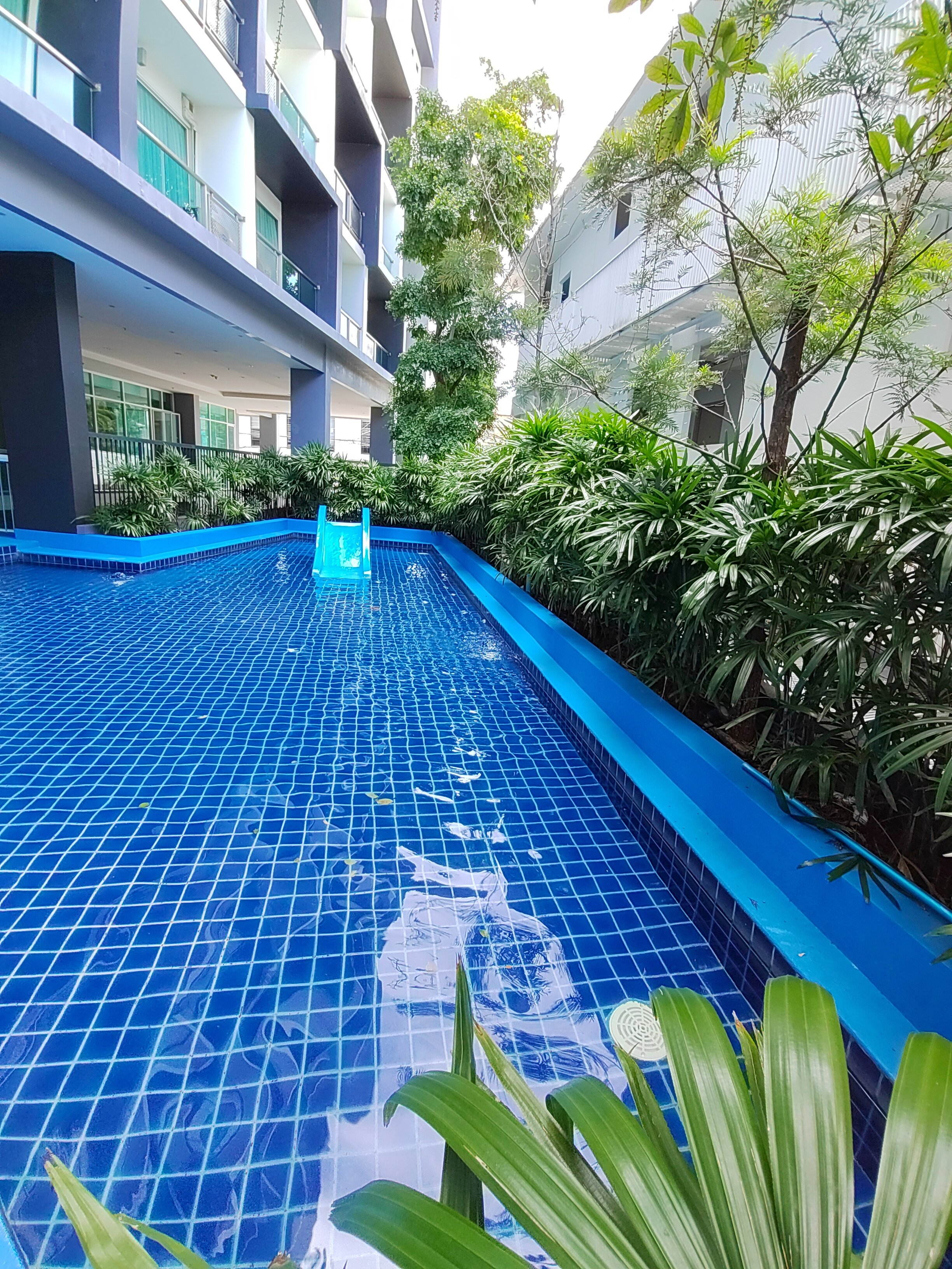 Фото Prima Pattaya Hotel