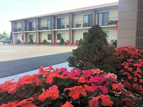 Гостиница Red Roof Inn & Suites Middletown, Ri в Штате Род-Айленд