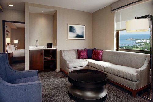 Гостиница Hilton Chicago в Чикаго