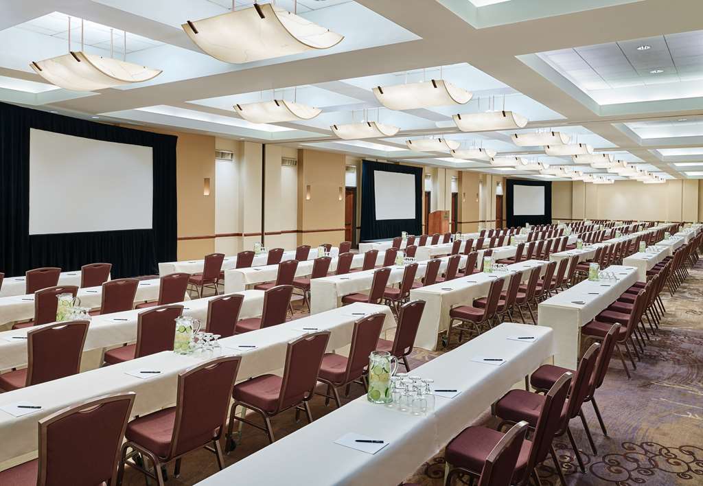 Фото DoubleTree by Hilton San Antonio Airport