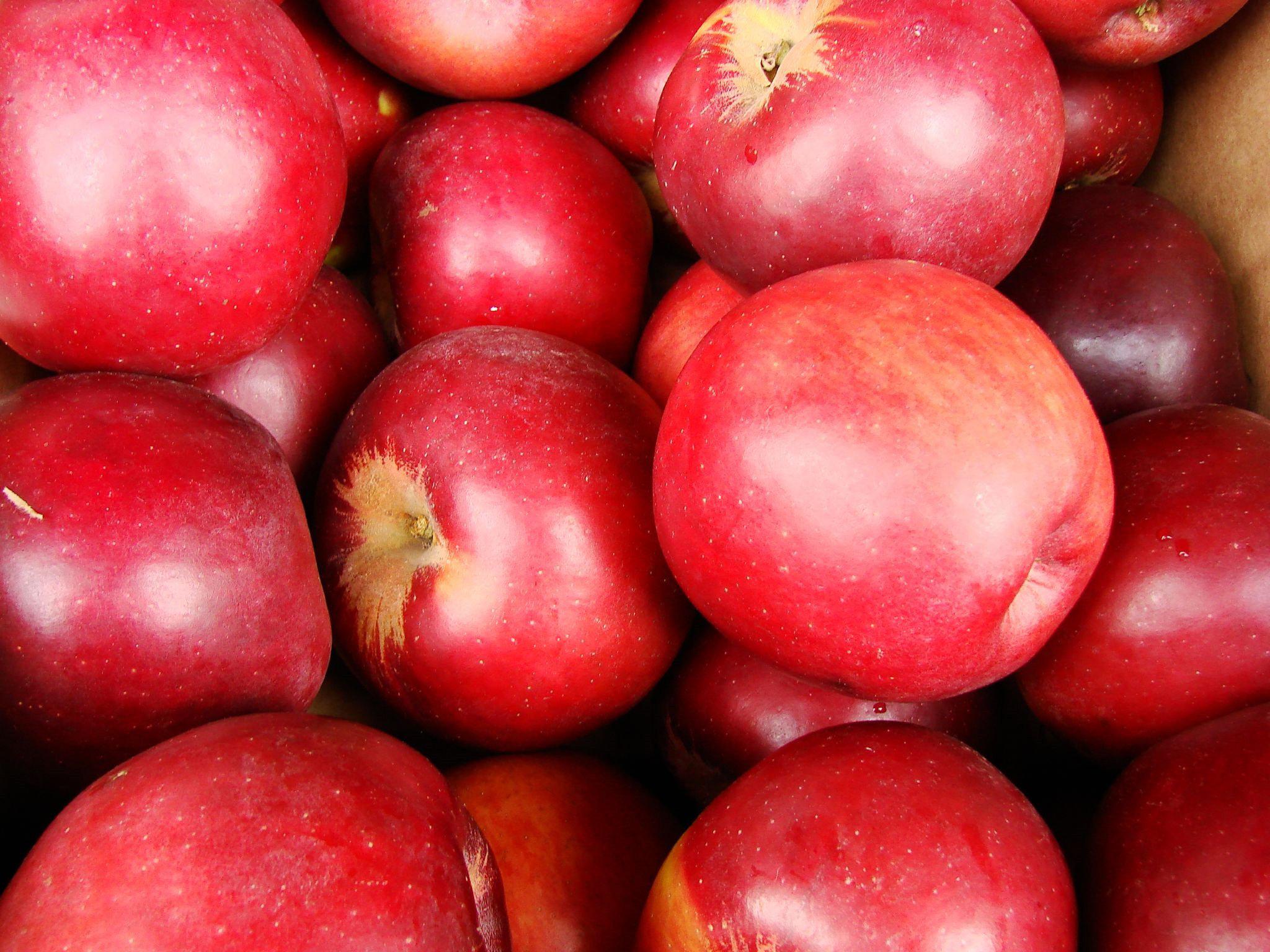 Фото Holiday Inn Express Hotel & Suites El Dorado Hills, an Ihg Hotel