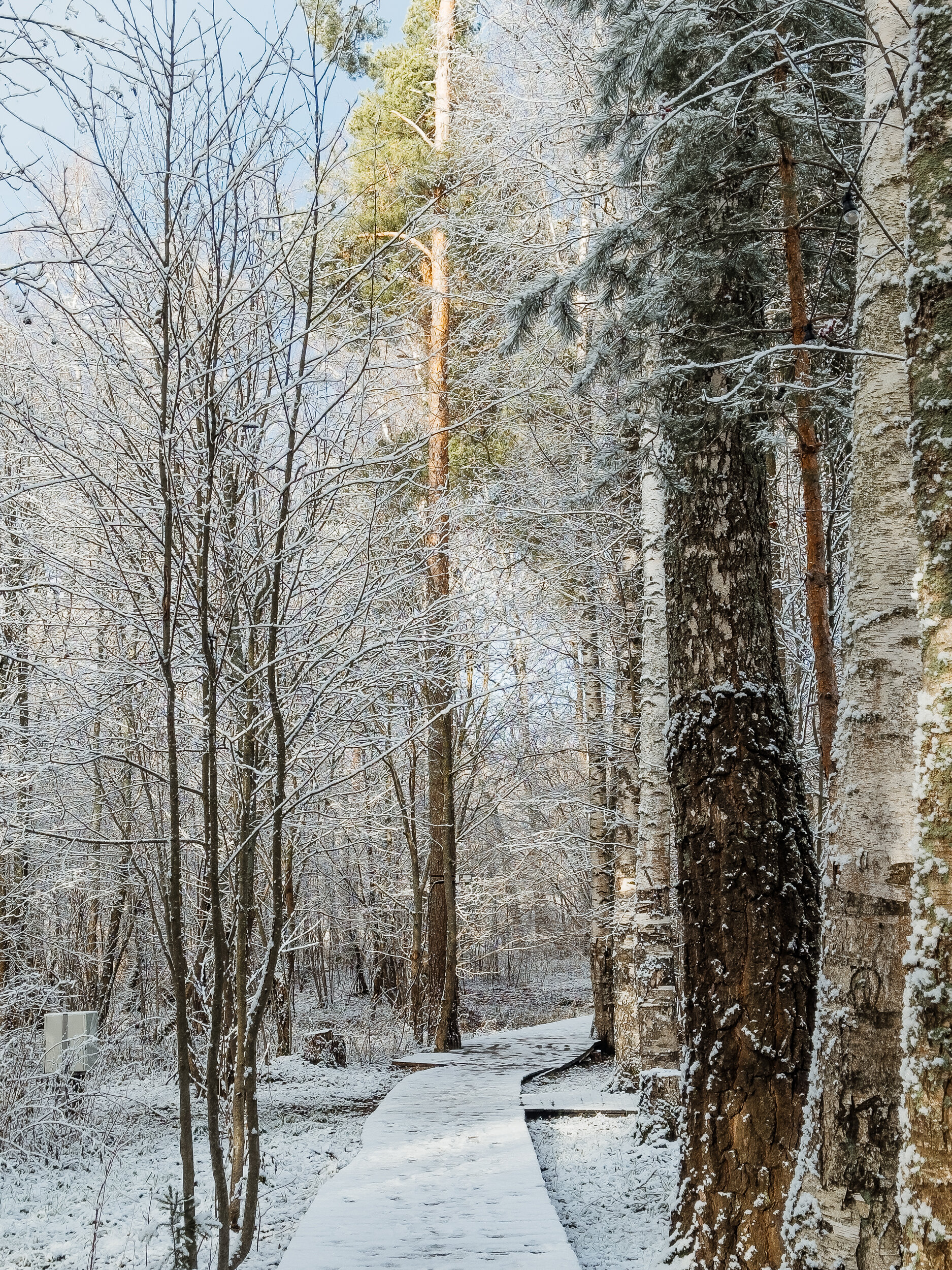 Фото Берег желаний