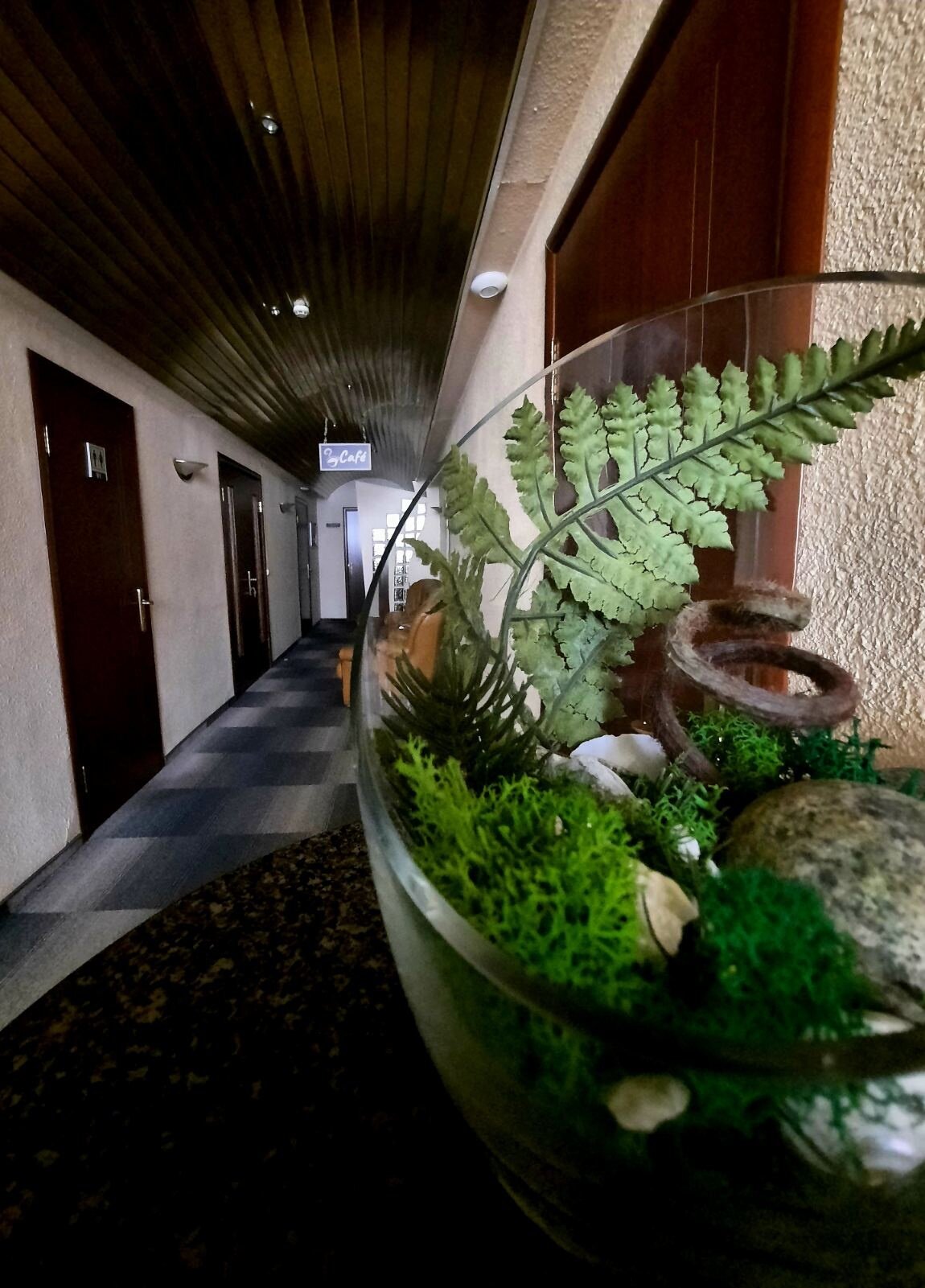 Фото Экватор