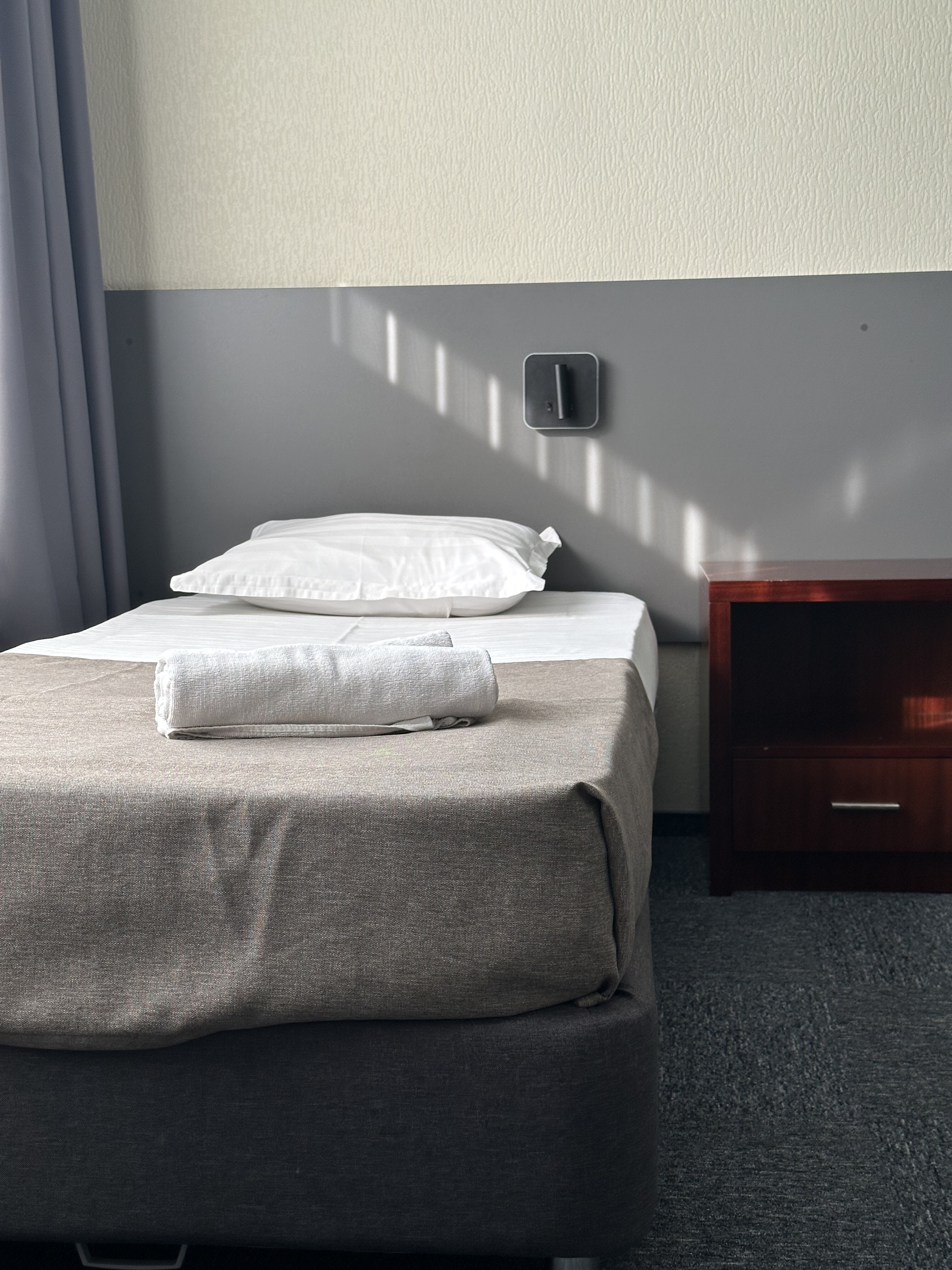 Фото Сапсан