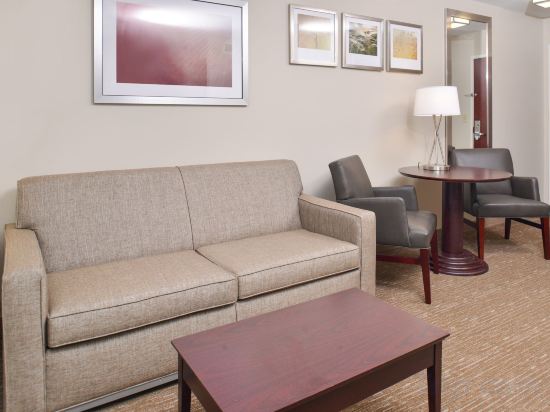Фото Holiday Inn Express Hotel & Suites Lafayette, an Ihg Hotel
