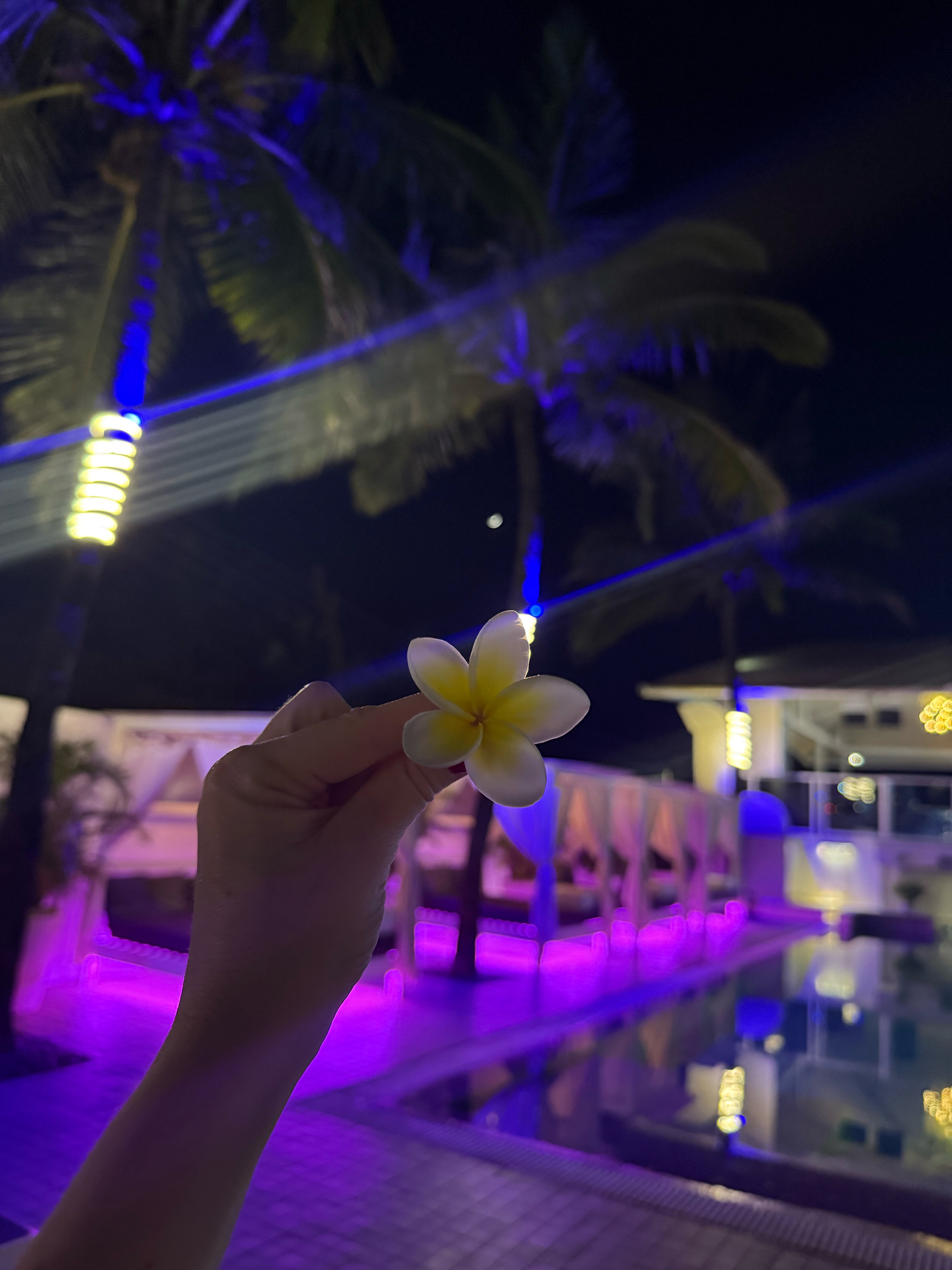 Фото The Park Calangute Goa