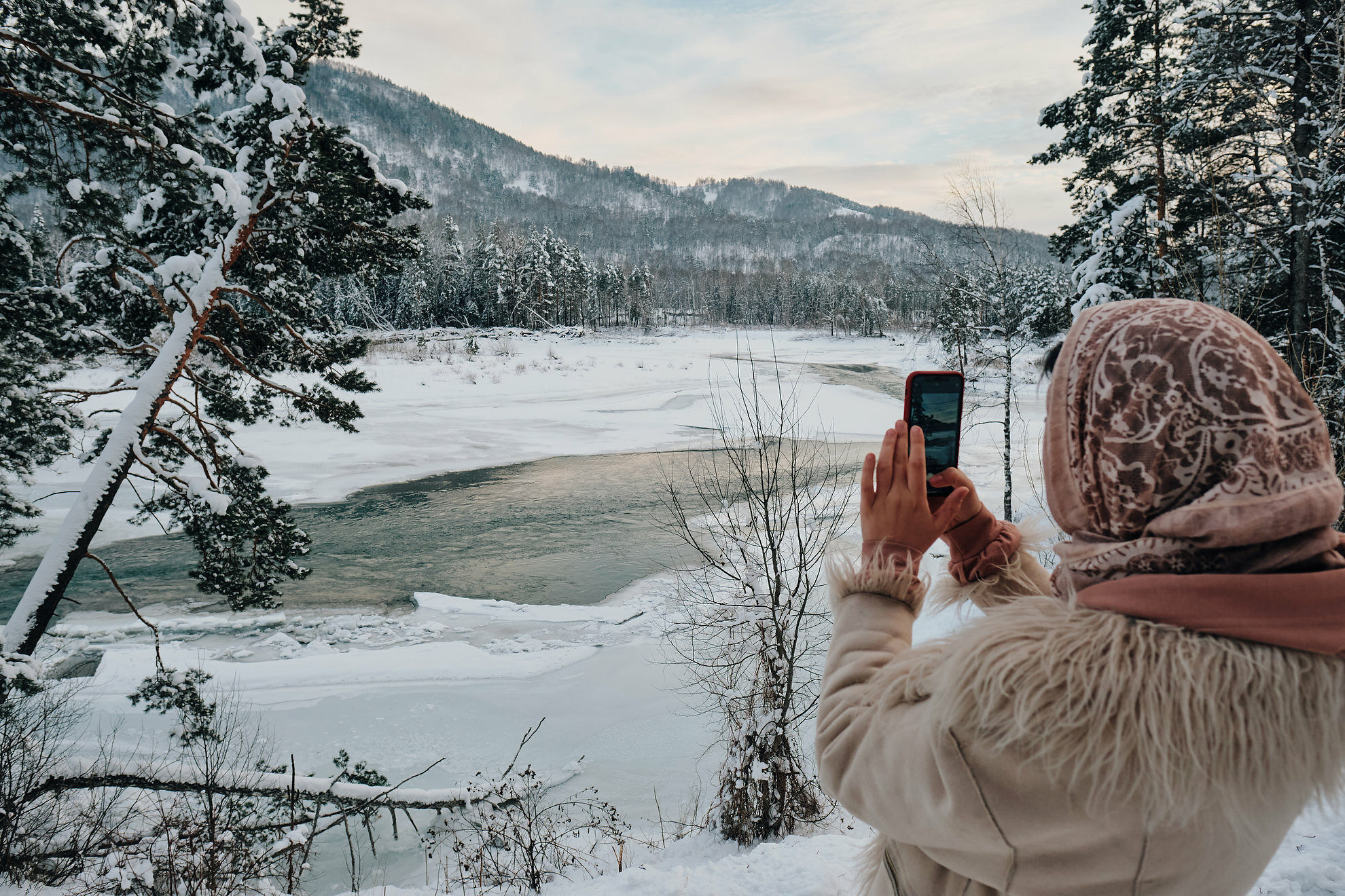 Фото Кедровый берег