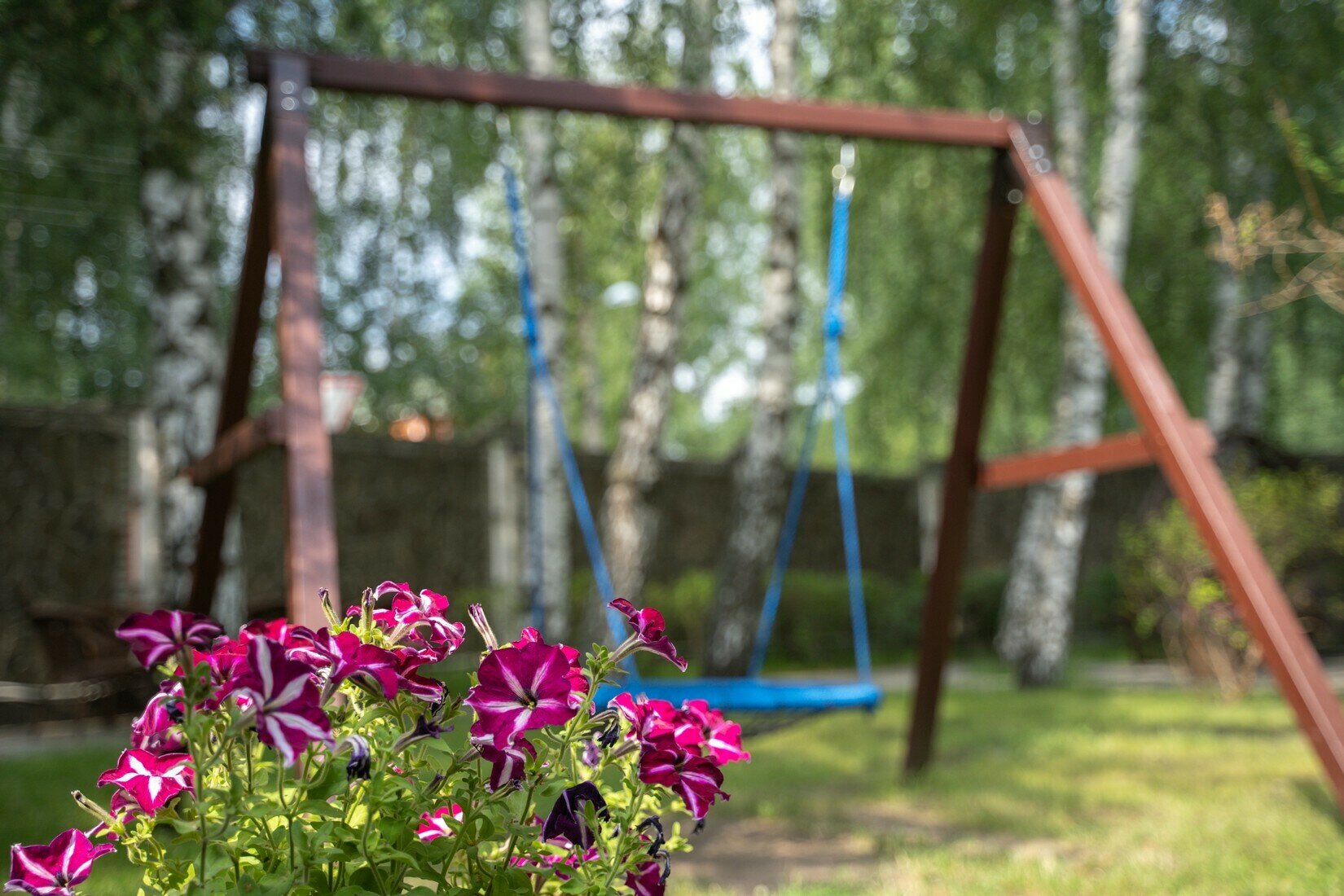 Фото Аристократ