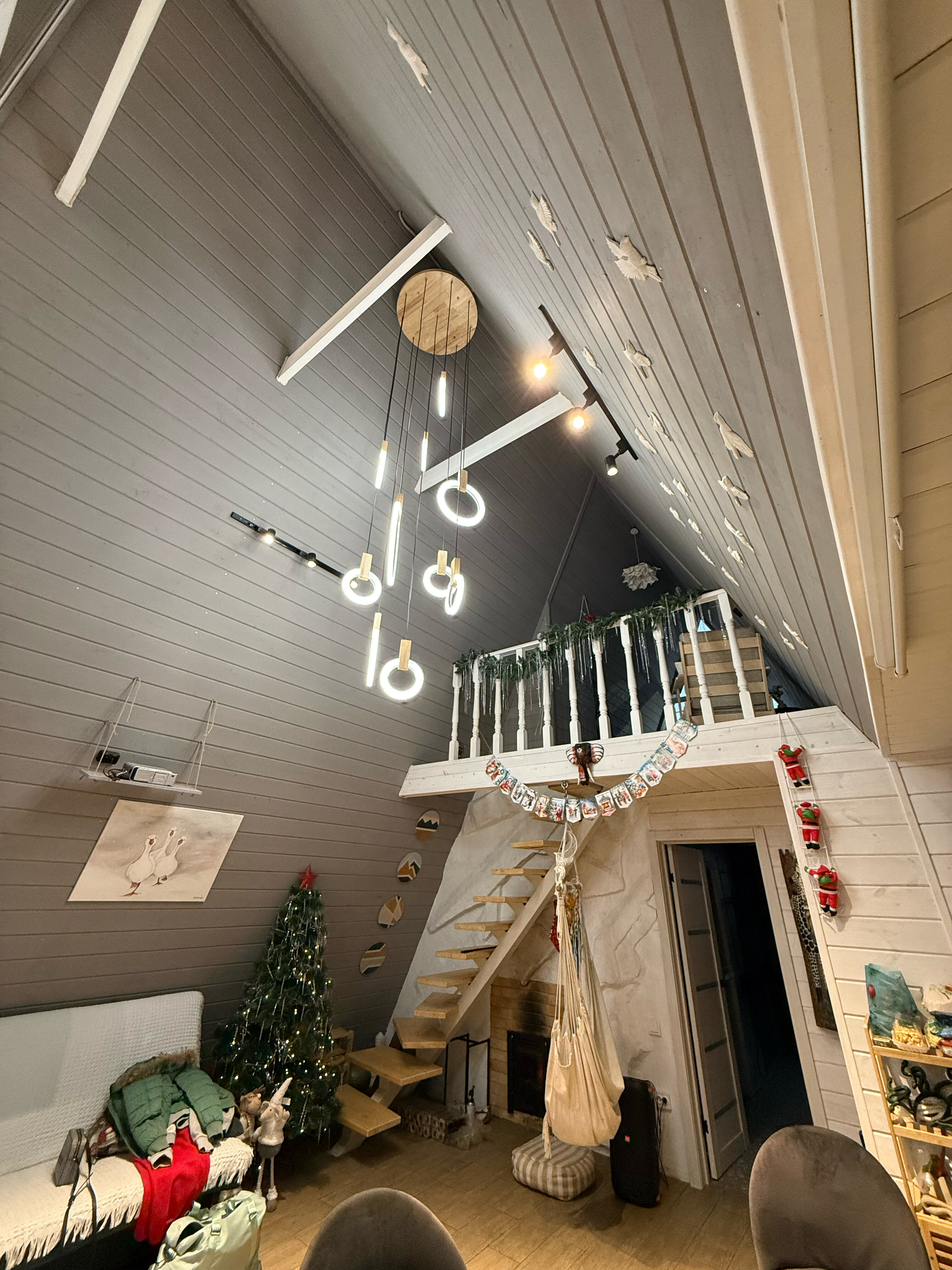 Фото Пар и сосны