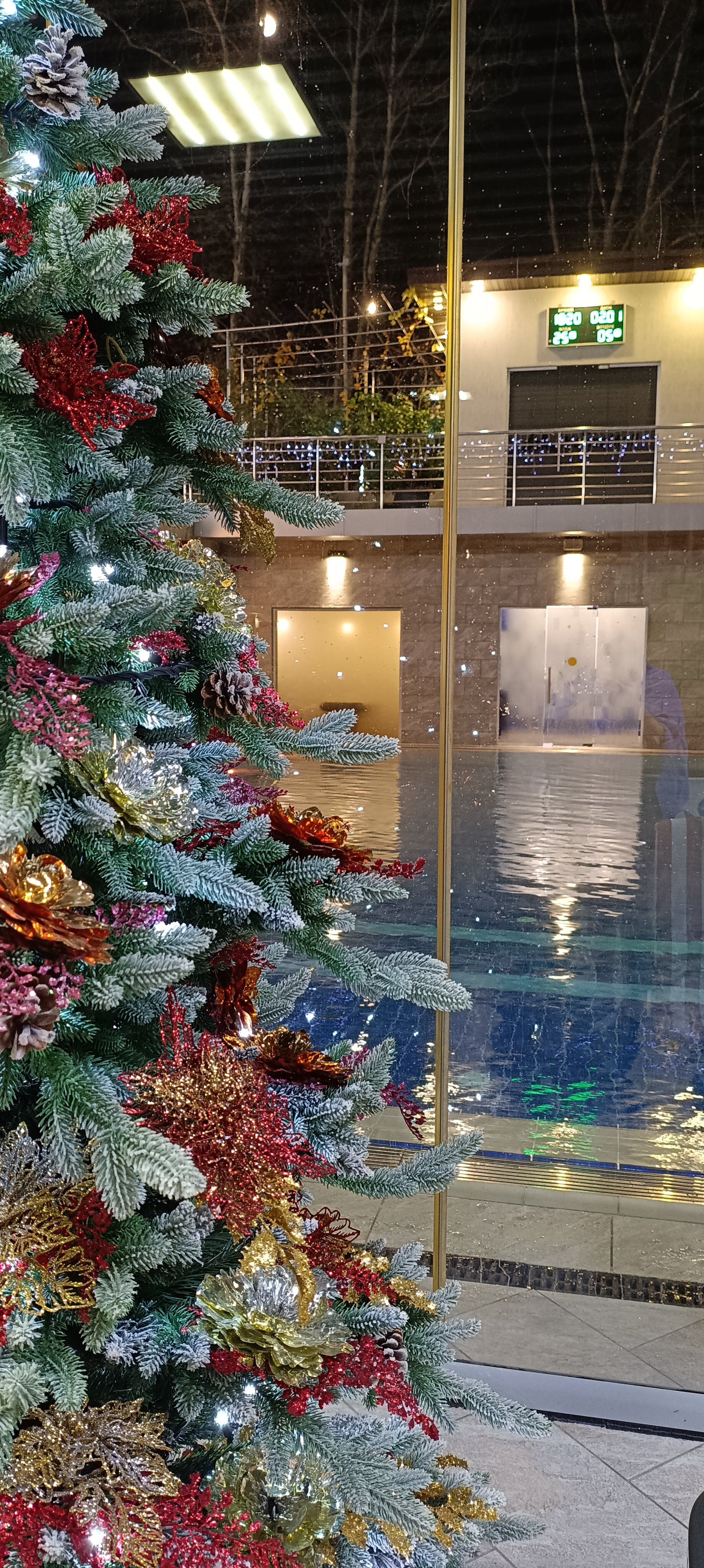 Фото Марина Молл