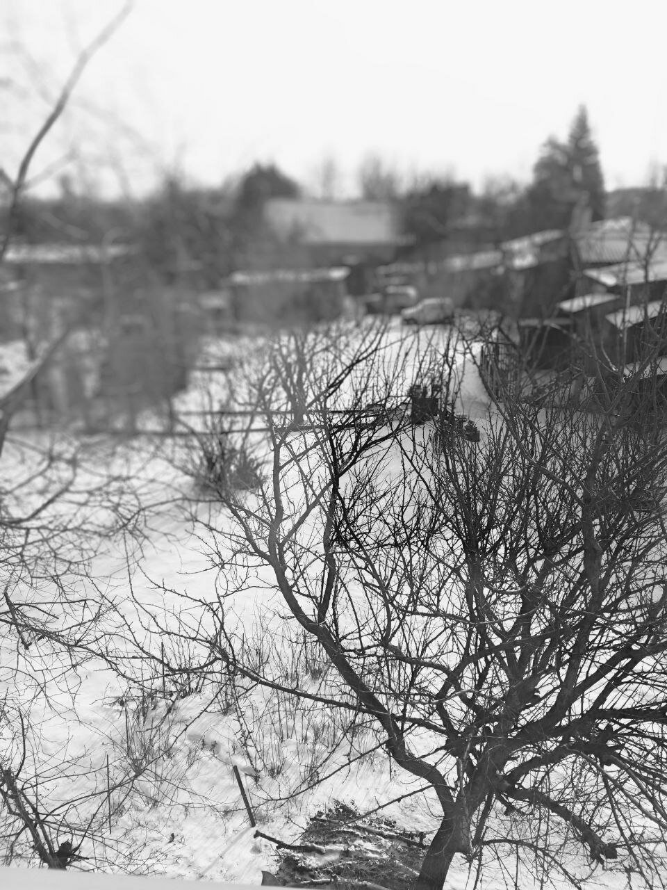 Фото Замок