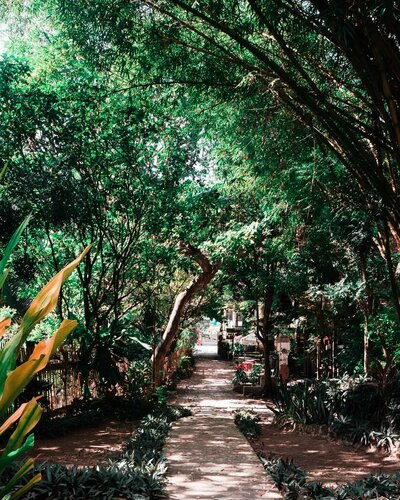 Гостиница Oasis Balili Heritage Lodge в Тагбиларане