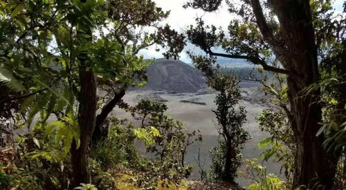 Гостиница Volcano Forest Inn в Штате Гавайи