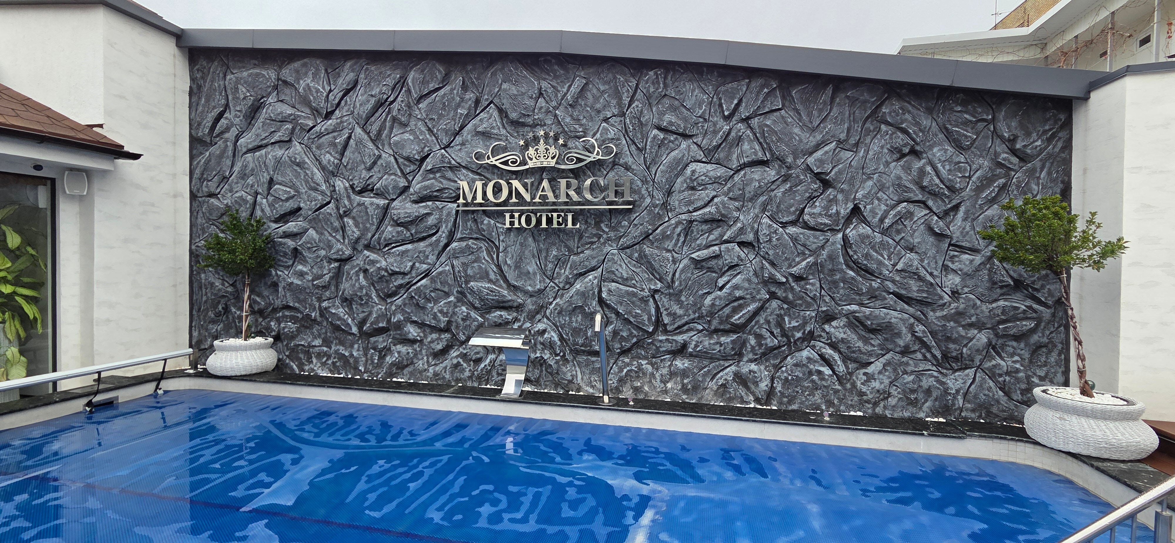 Фото Монарх