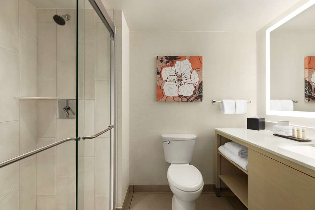 Фото Embassy Suites by Hilton Denver International Airport