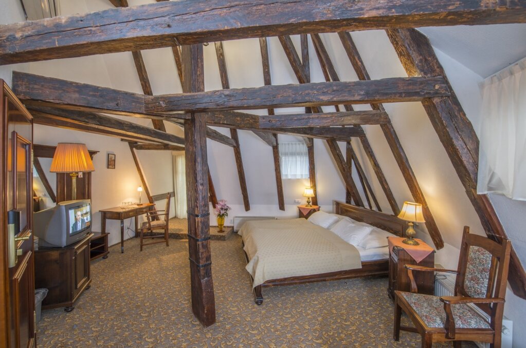 Фото Hotel Cerny Slon