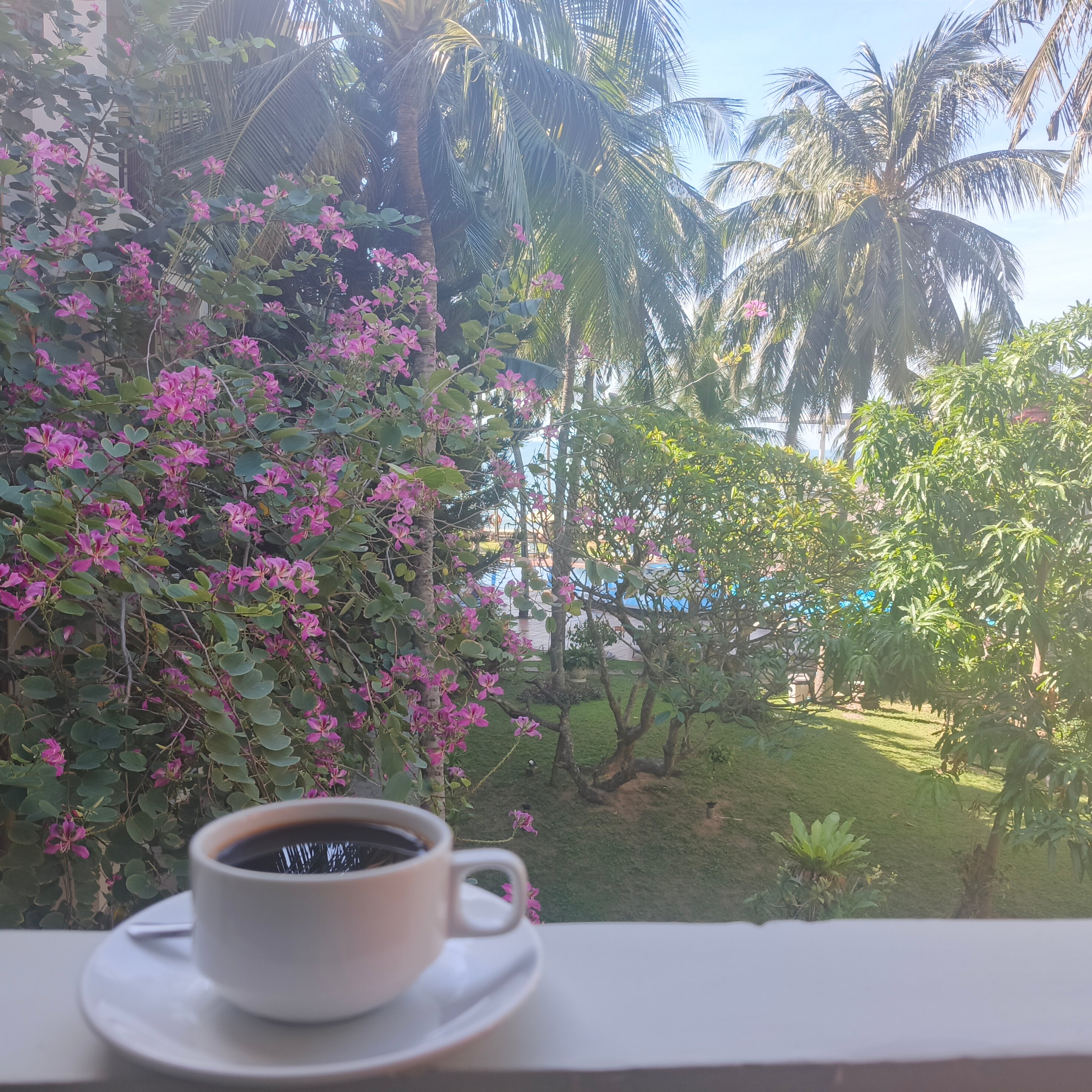 Фото Canary Beach Resort