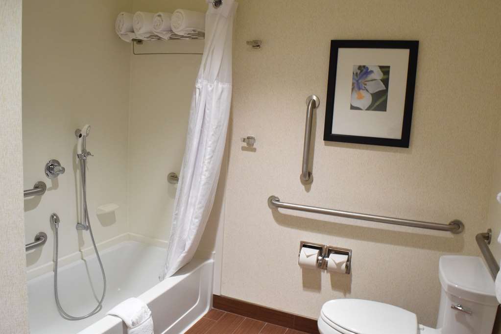 Фото Hilton Garden Inn Rochester Downtown