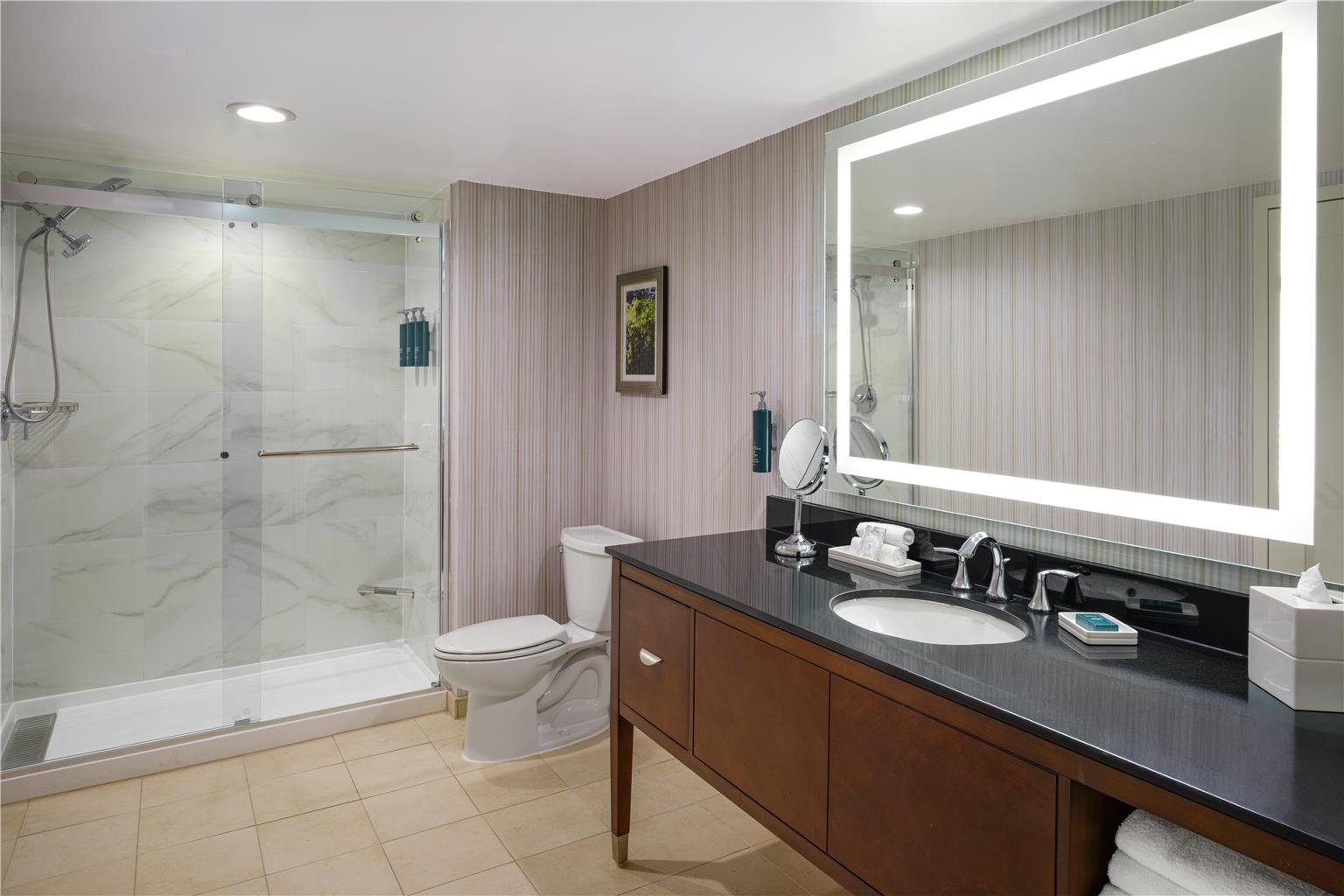 Фото Hilton Washington Dc/Rockville Executive Meeting Center