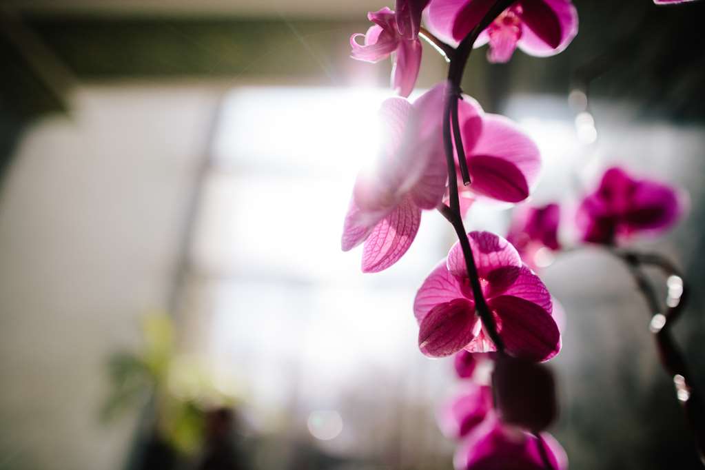 Фото Colcord Hotel