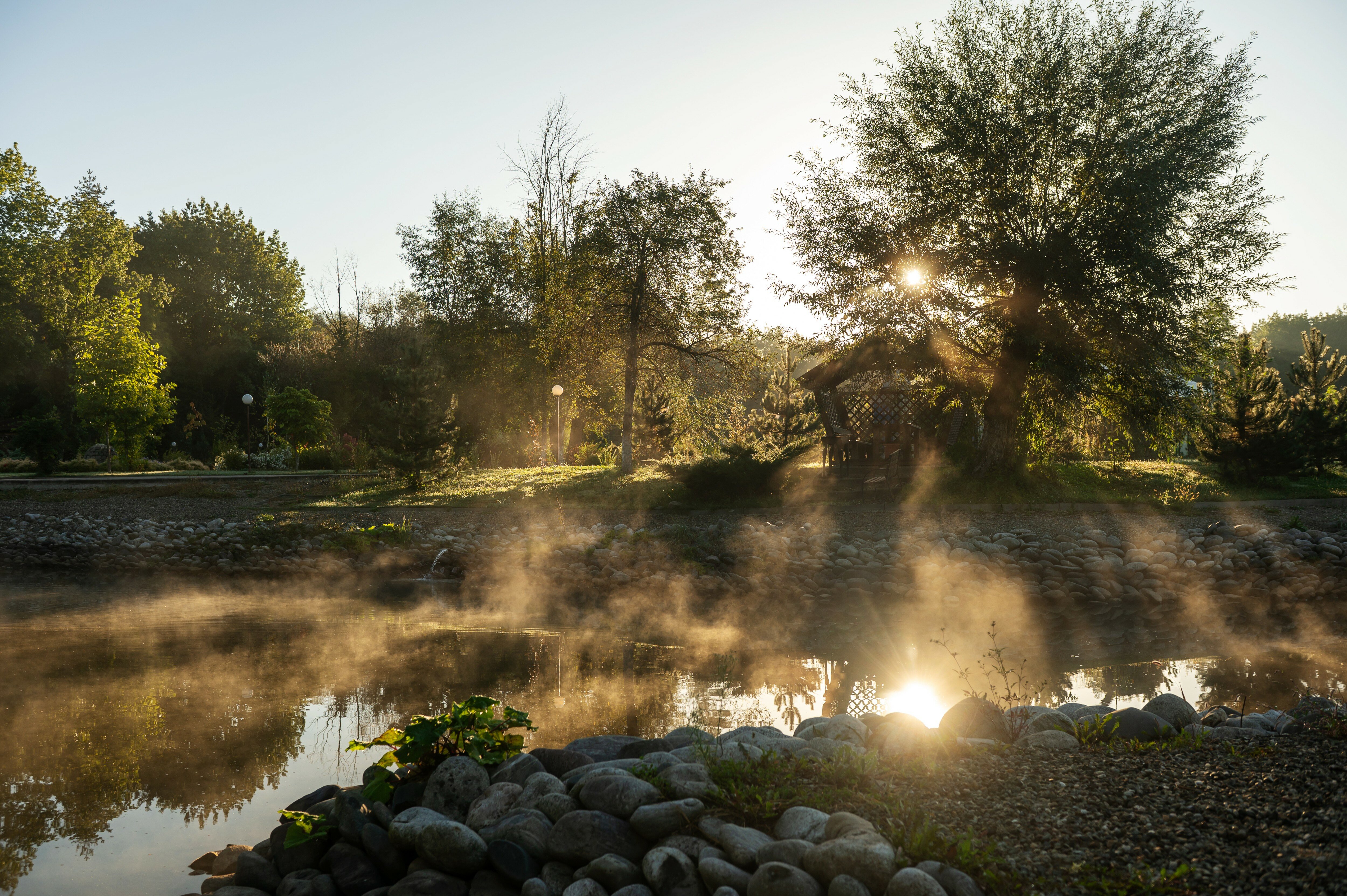 Фото Павлова поляна
