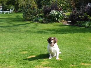 Фото Broadlands Gate