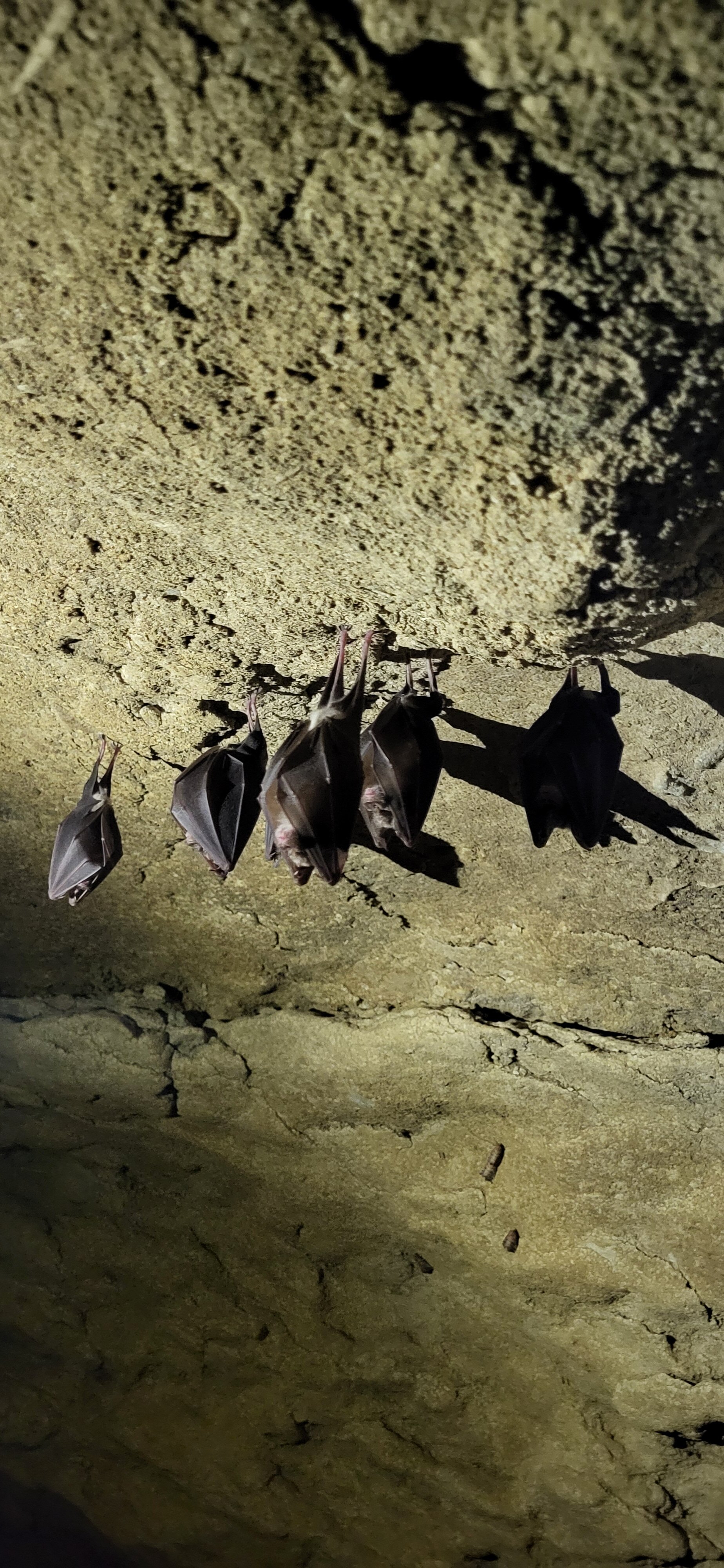 Фото Семейные коттеджи