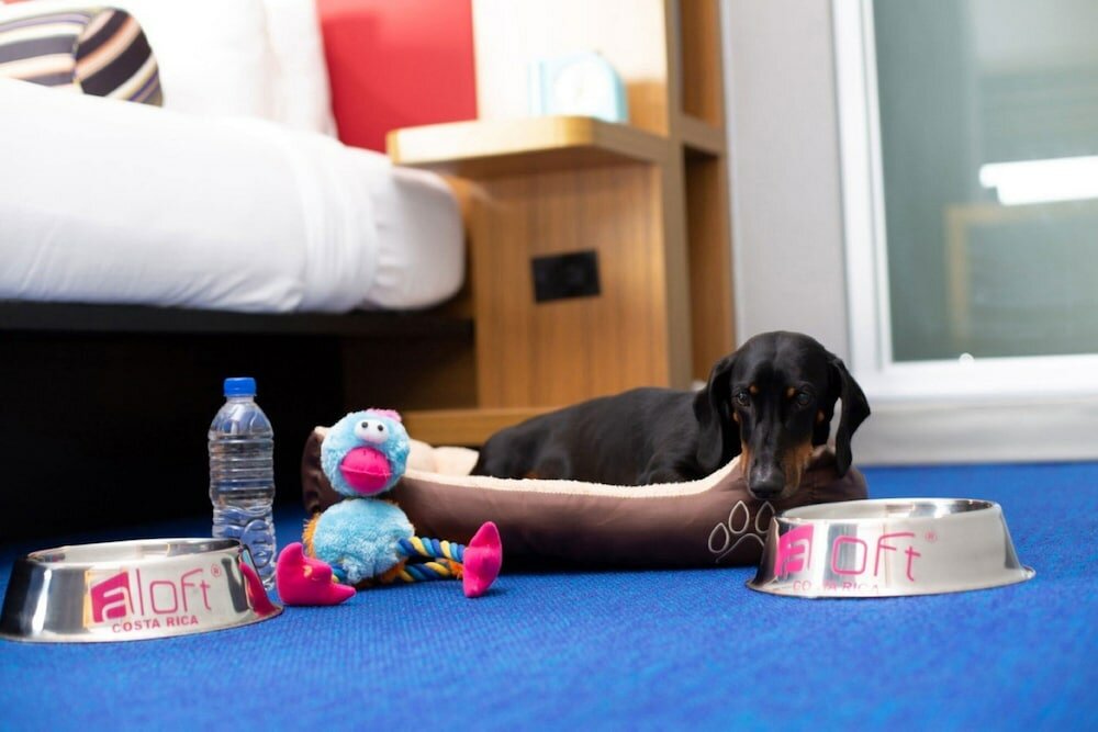 Фото Aloft San Jose Hotel, Costa Rica