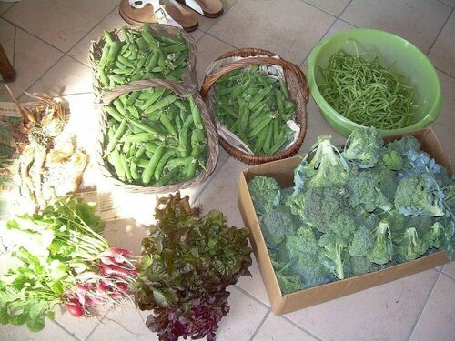 Гостиница Chez Tiane в Тйе