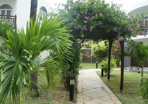 Гостиница Gold Beach Resort в Флик-ан-Флаке