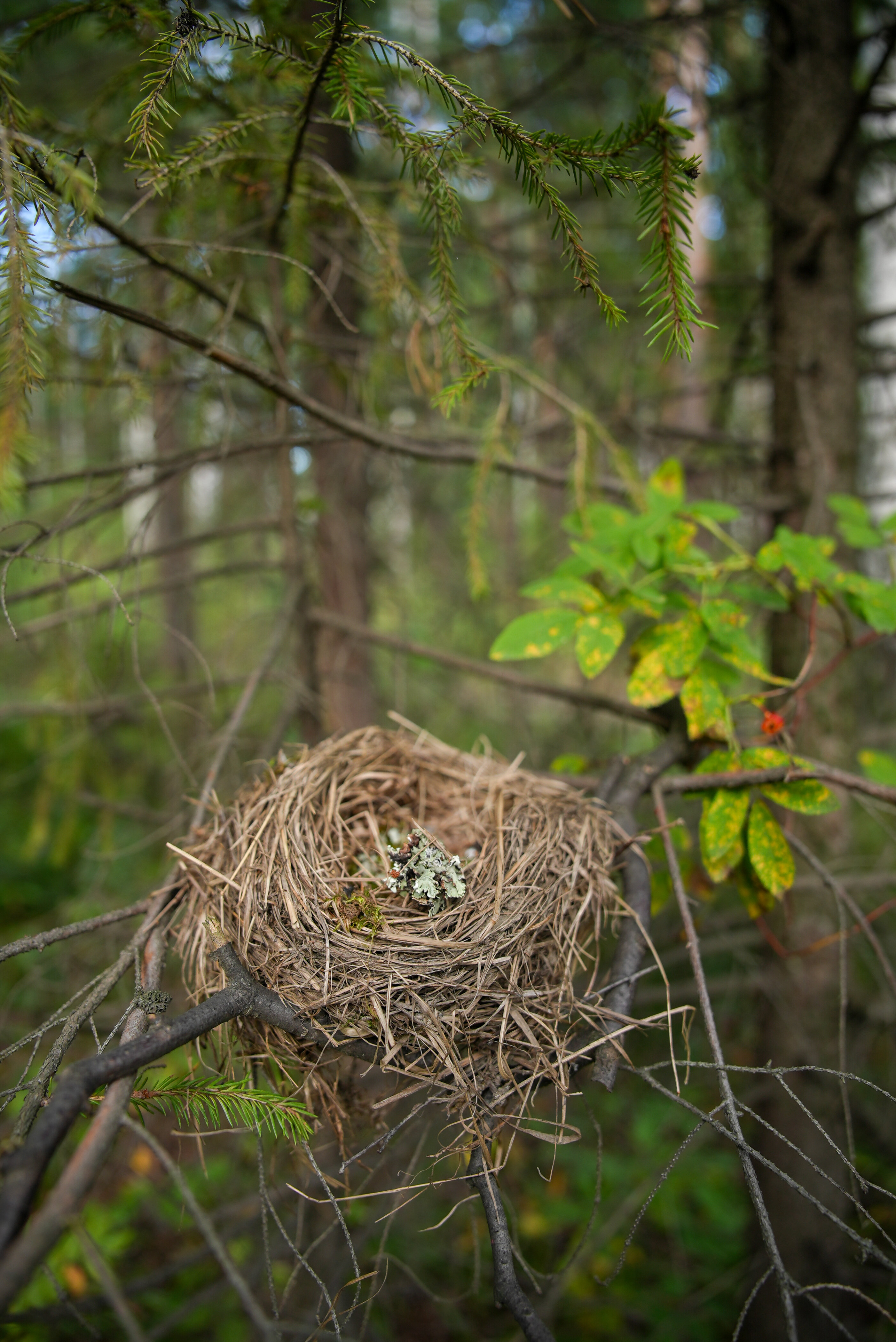Фото Энергетик