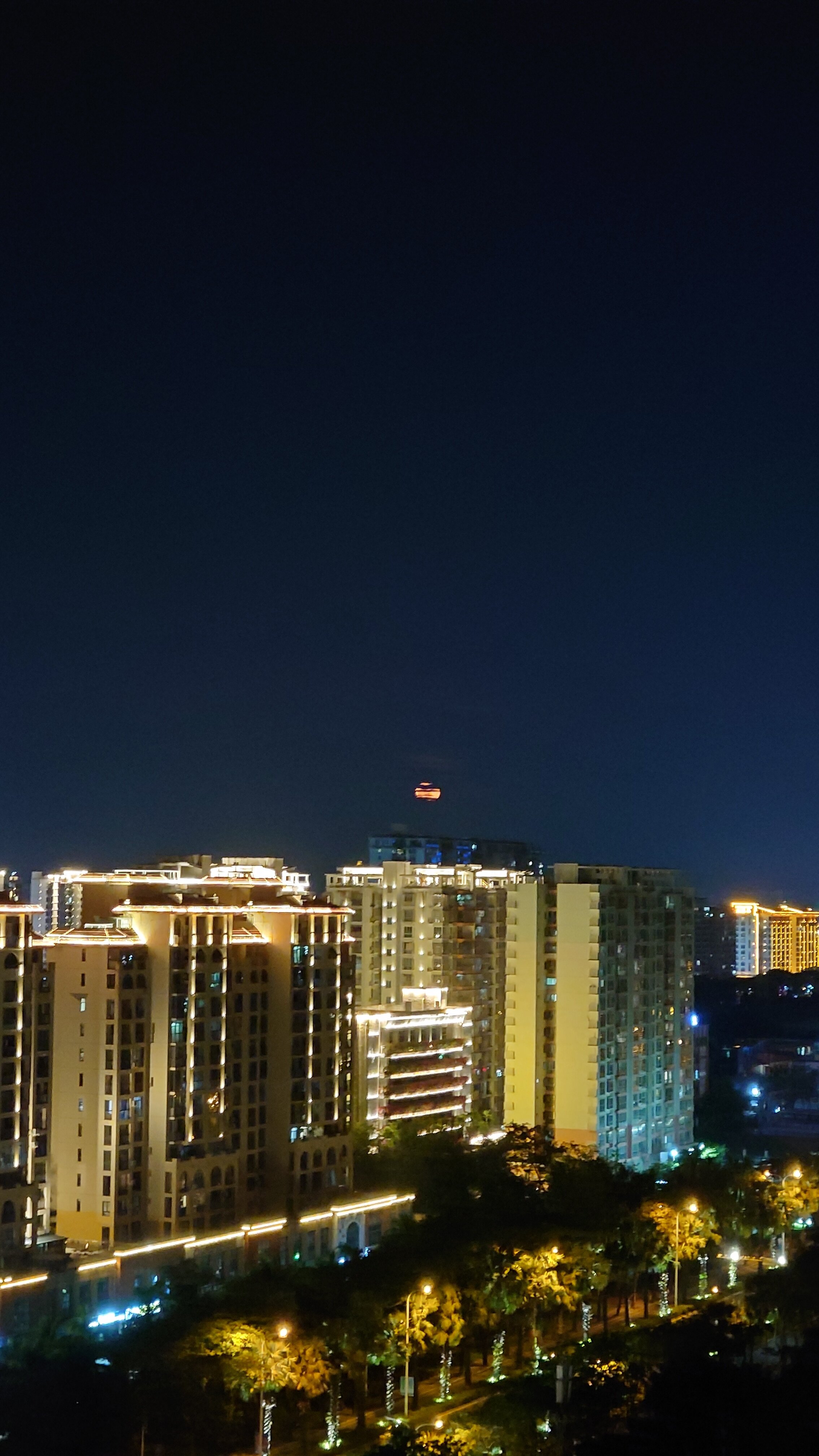 Фото Mangrove Tree Resort World - Elader Palm