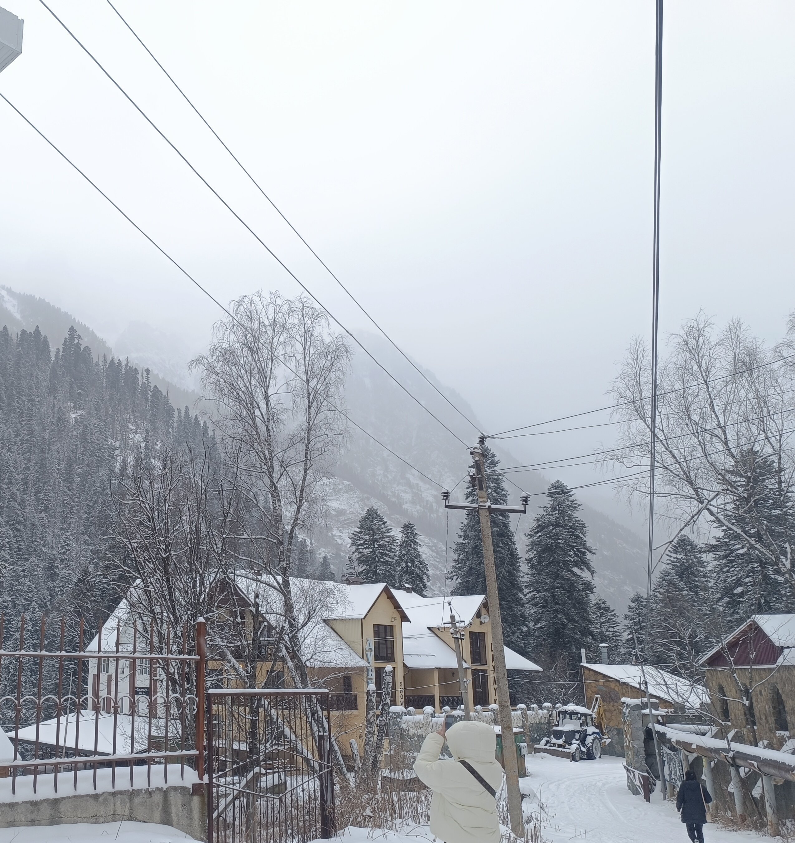 Фото Дубки Snow Point