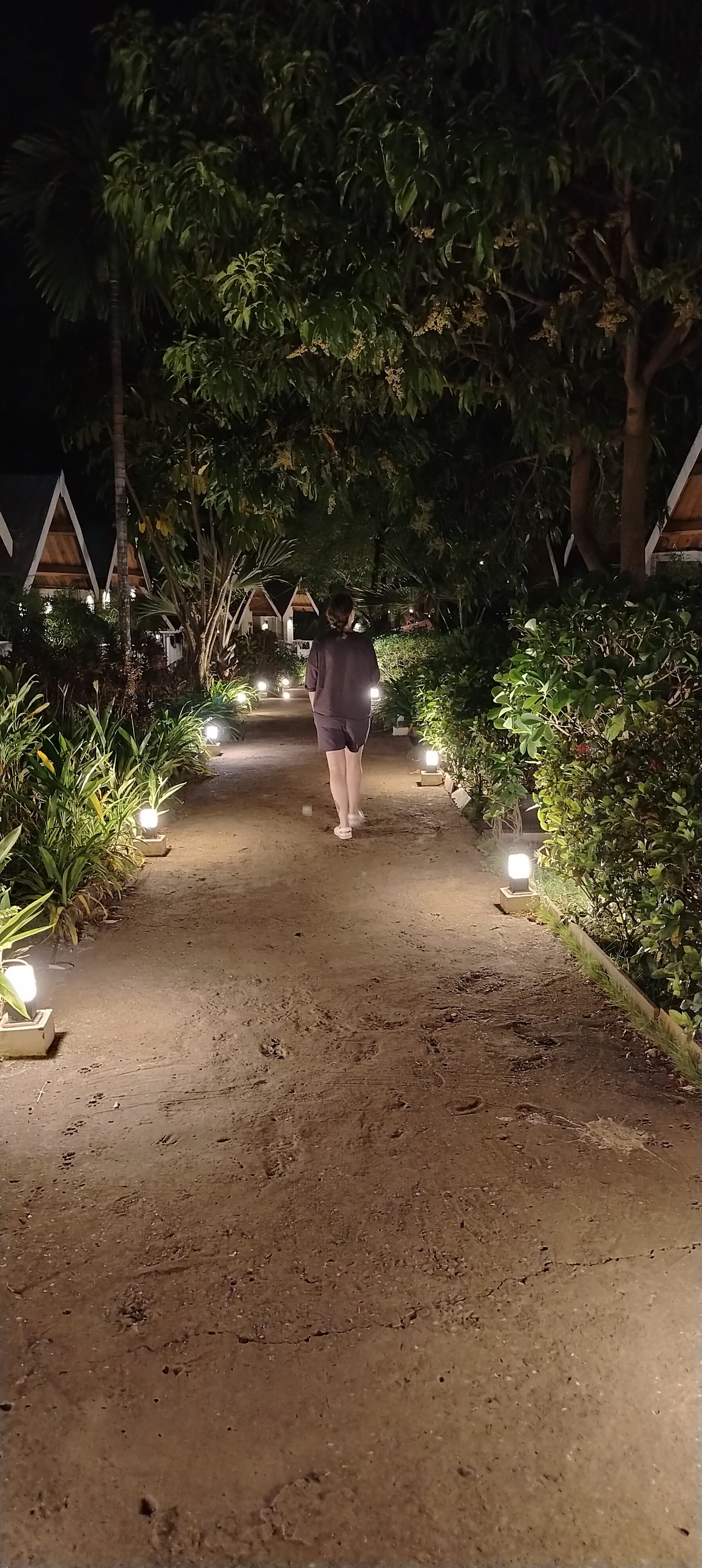 Фото White Woods Resort and Spa