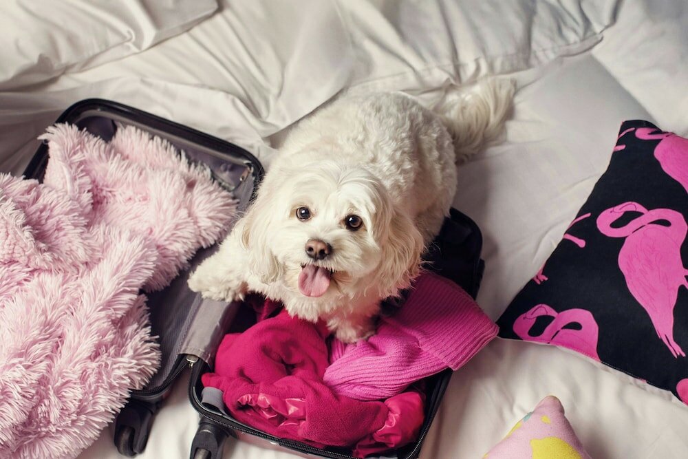 Фото Moxy Tbilisi by Marriott