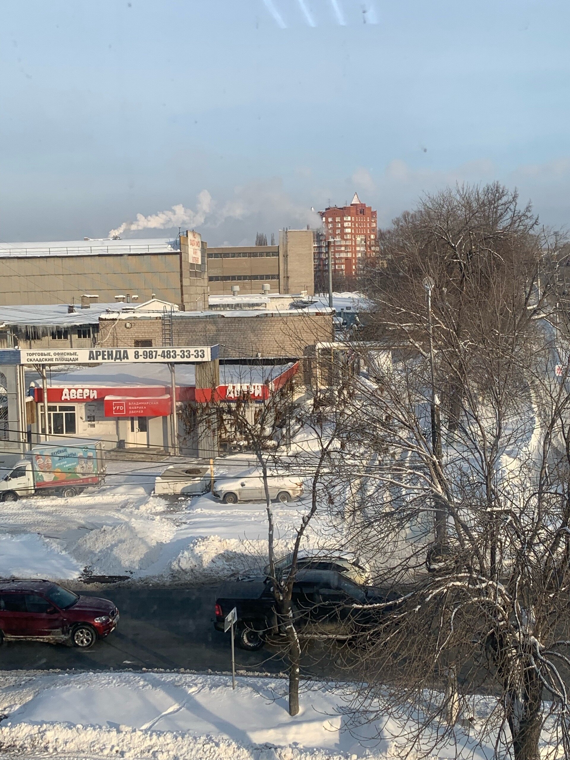 Фото Панда